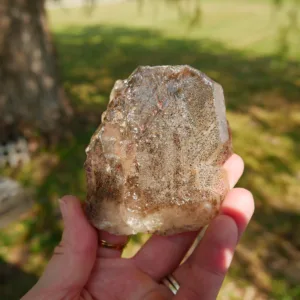 3.5" Smoky Elestial Quartz with Inclusions from Mozambique 4.5 oz | Jacare | Fenster | Alligator Quartz