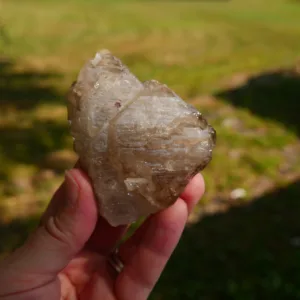 3" Smoky Elestial Quartz with Inclusions from Mozambique 3.9 oz | Jacare | Fenster | Alligator Quartz