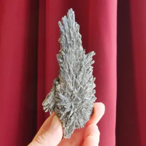 4.5" Flashy Black Kyanite Spray | Witches Broom | Raw Crystal from Brazil | 2.8 oz