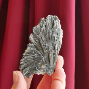 3" Flashy Black Kyanite Spray | Witches Broom | Raw Crystal from Brazil | 1.3 oz