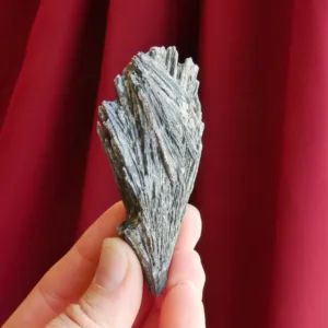 3" Flashy Black Kyanite Spray | Witches Broom | Raw Crystal from Brazil | 1.6 oz