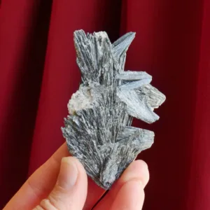 3" Flashy Black Kyanite Spray | Witches Broom | Raw Crystal from Brazil | 1.8 oz