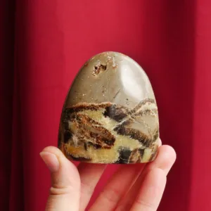 2.5" Septarian Standing Freeform from Madagascar