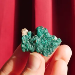 1.25" Dioptase Cluster Thumbnail Specimen