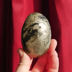 3" Pharaoh Stone | Pyrite in Basalt Gallet Freeform | Rare!