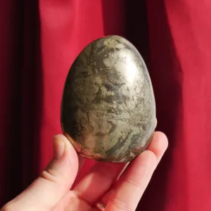 3" Pharaoh Stone | Pyrite in Basalt Gallet Freeform | Rare!