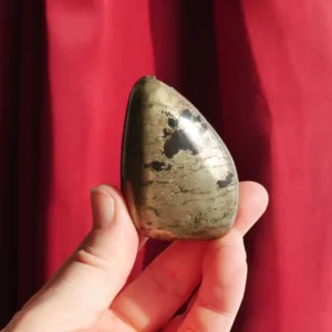 2.5" Pharaoh Stone | Pyrite in Basalt Freeform | Rare!