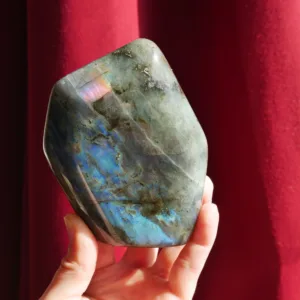4.5" Labradorite Blue and Purple Flash Spectrolite Freeform 1.4 Lb