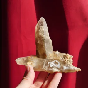 4" SINGING Smoky Quartz Cluster from Erongo, Namibia 8.6 oz