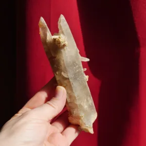 5.5" Unique Smoky Quartz Cluster from Erongo, Namibia 7.4 Oz