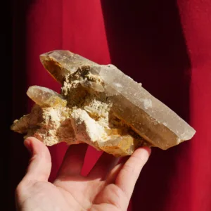 6.5" Unique Smoky Quartz Cluster from Erongo, Namibia 1.5 Lbs!