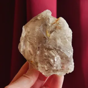 3" Smoky Elestial Quartz Crystal: Jacare Fenster Alligator Quartz 13.2 oz