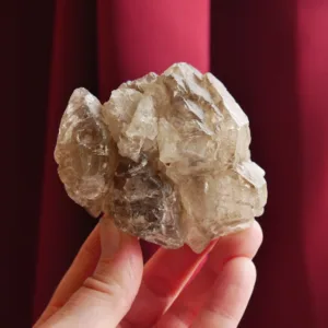 2.75" Smoky Elestial Quartz Crystal: Jacare Fenster Alligator Quartz 8.5 oz
