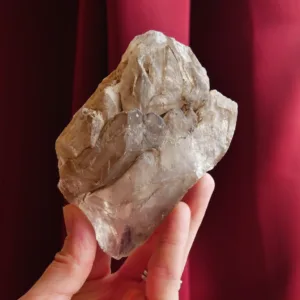 4.75" Smoky Elestial Quartz Crystal: Jacare Fenster Alligator Quartz 15.4 oz