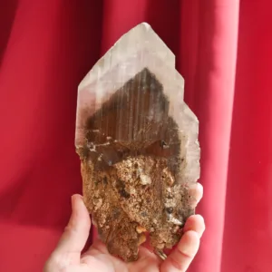 7.5" Phantom Selenite Gypsum Crystal from La Platosa Mine, Durango Mexico