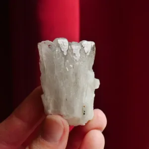2" Danburite Cluster with Pyrite from Caracas, Mexico